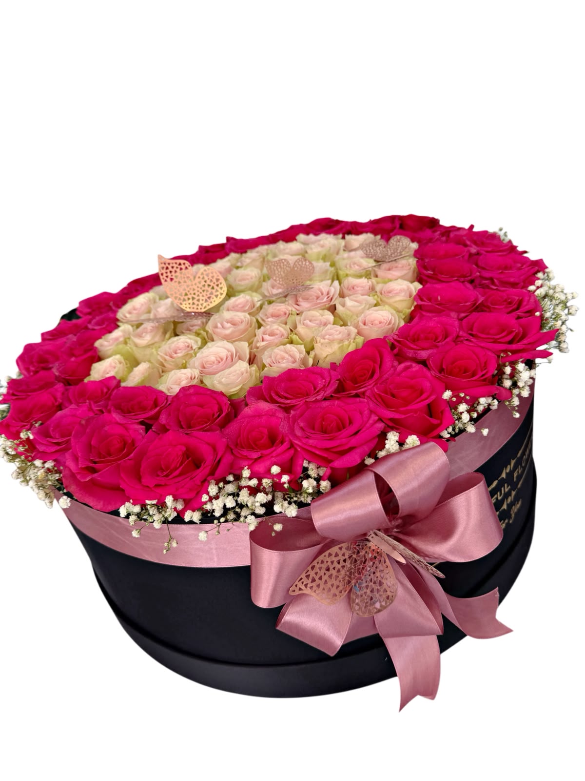 Leidy big box