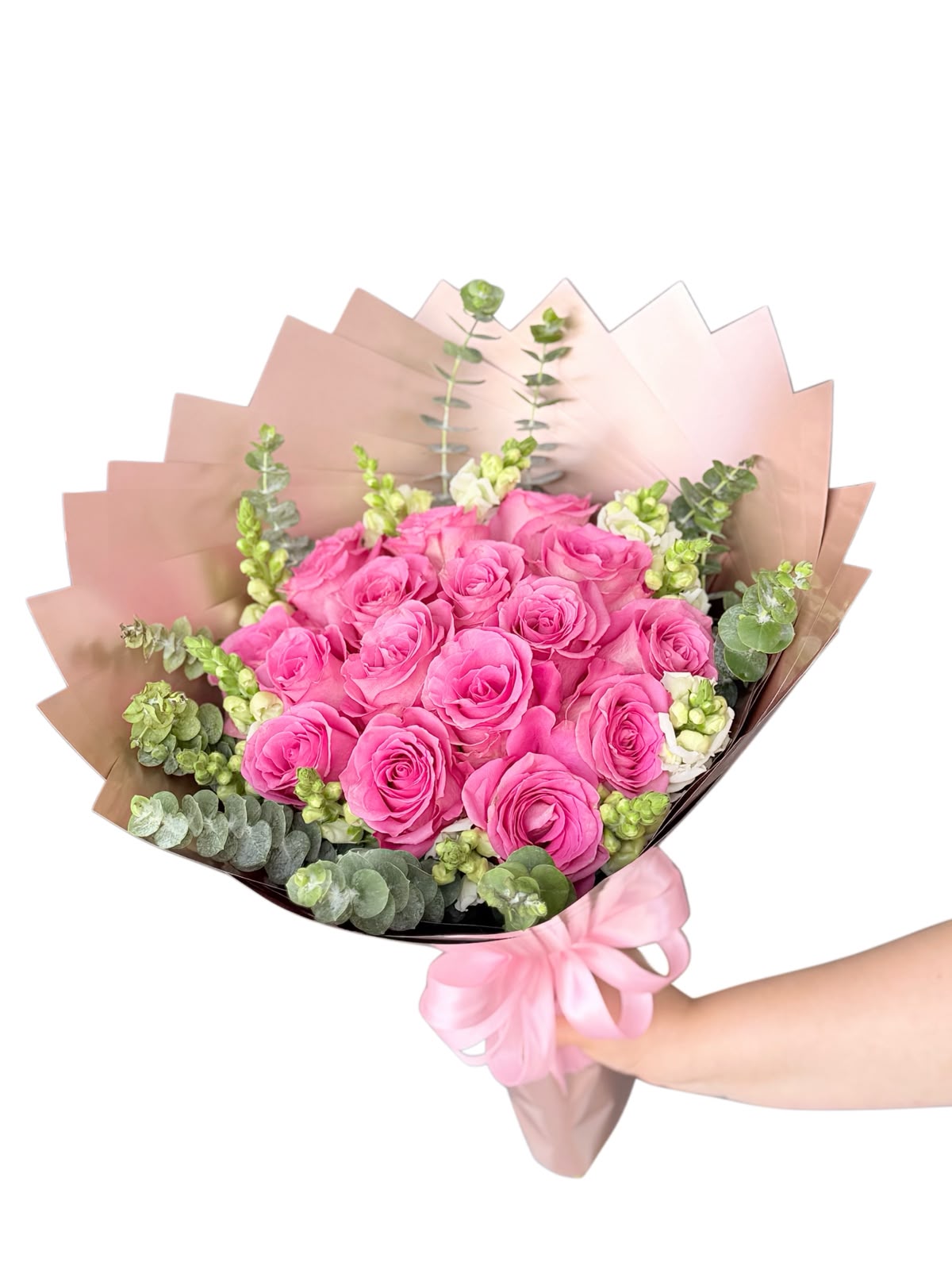 Buchon rosa